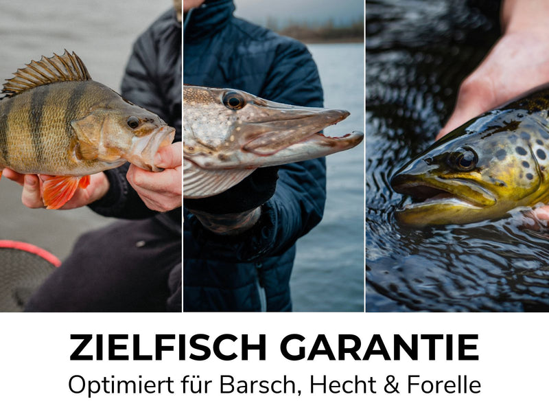 Barsch & Hecht & Forellen Bundle - 3x GO KITS
