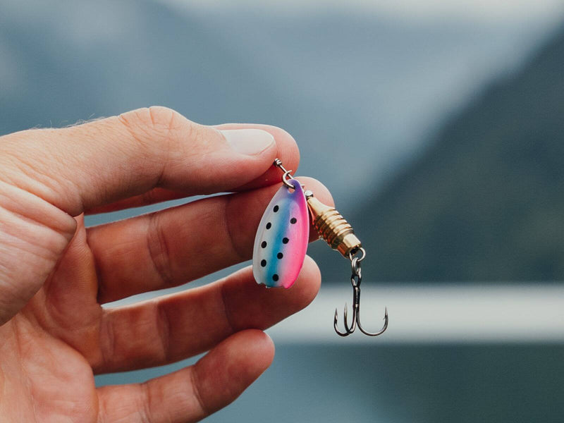 SALTA - Forellen Spinner